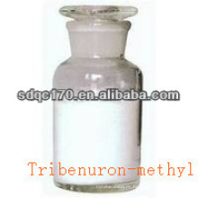 Tribenuron-Methyl 95% TC 10% WP 75% WDG